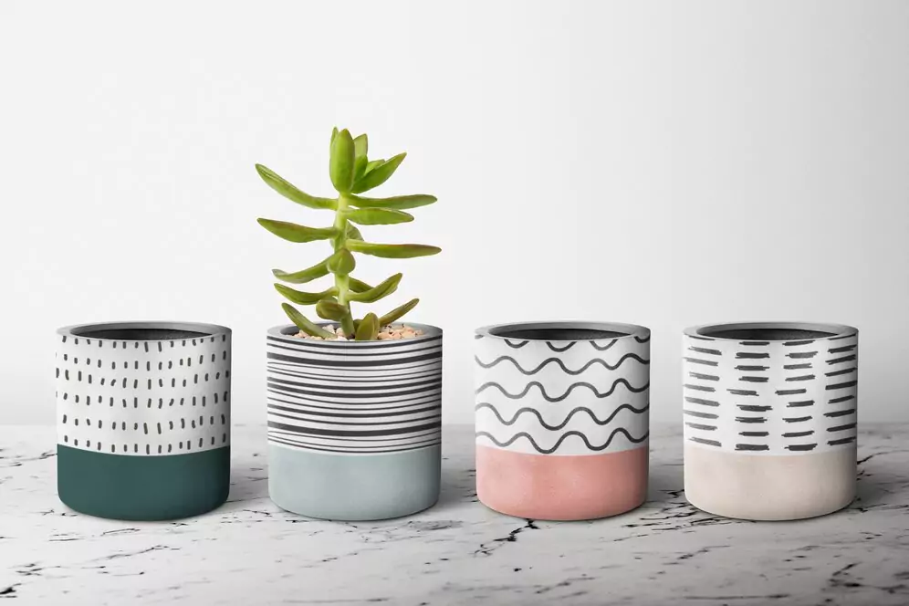 Ceramic Planters